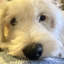 Mehmeth adlı kullanıcı